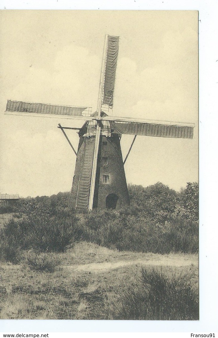 Kasterlee Zwarte Molen - Kasterlee