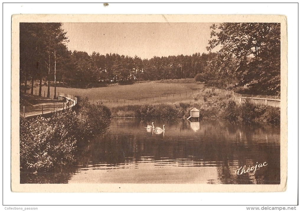 Cp, 87, Chateauneuf-la-Forêt, La Pièce D'eau Et Les Cygnes Au Sanatorium De Bellegarde - Chateauneuf La Foret