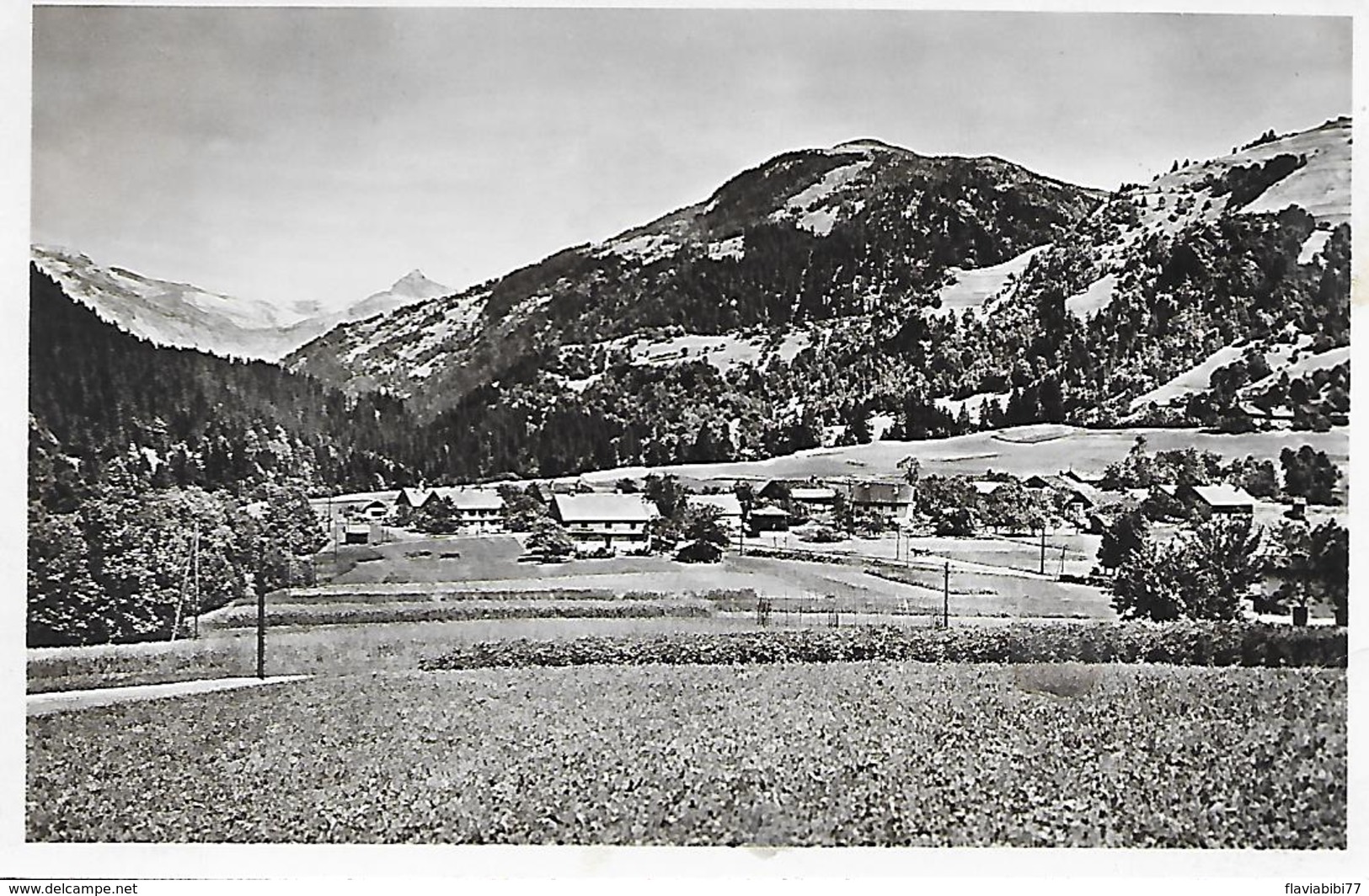 CONTAMINES - ( 74 ) - Vue Générale   ( C.P.S.M.- Pt - Ft ) - Contamine-sur-Arve