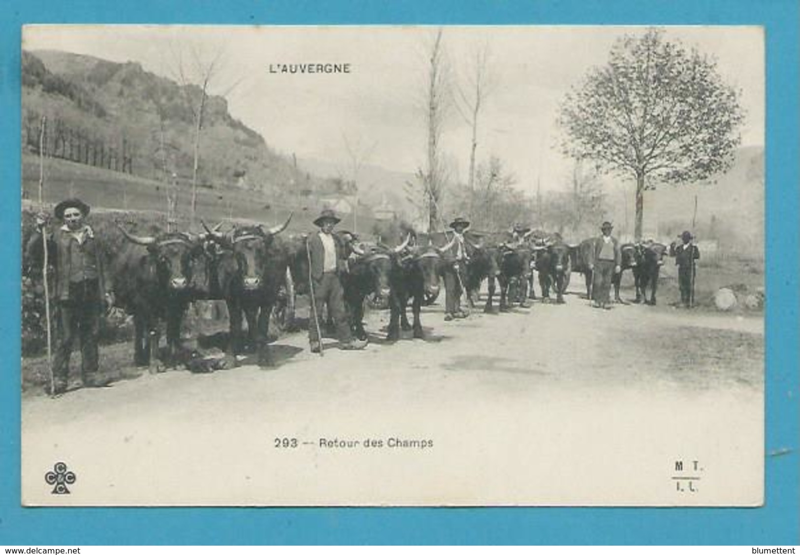 CPA 293 - Attlages Boeufs Retour Des Champs L'AUVERGNE 15 - Autres & Non Classés