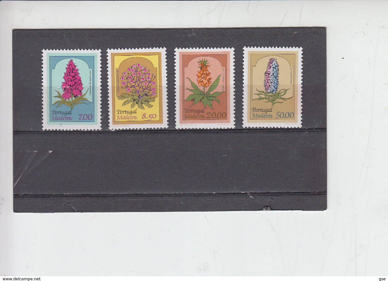 PORTOGALLO  -MADEIRA - 1981  - Unificato  9 - Europa - Madeira