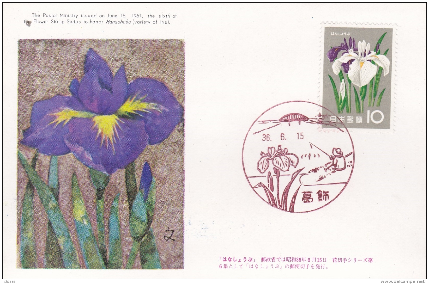 JAPON  :  Yvert  669 Iris Blanc Sur Carte Maximum De 1961 - Tarjetas – Máxima