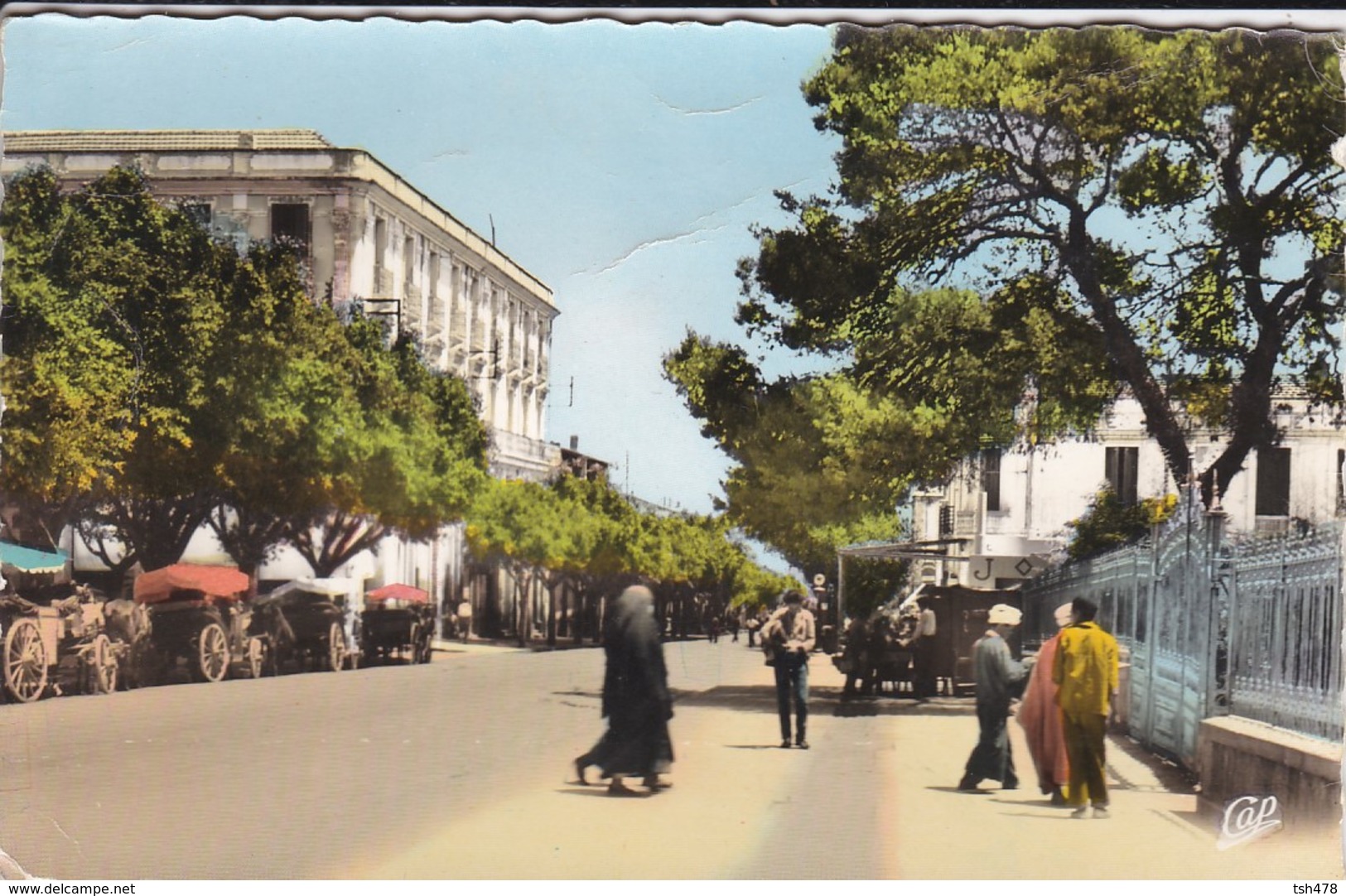 ALGERIE---GUELMA---l'avenue Sadi-carnot--voir  2 Scans - Guelma