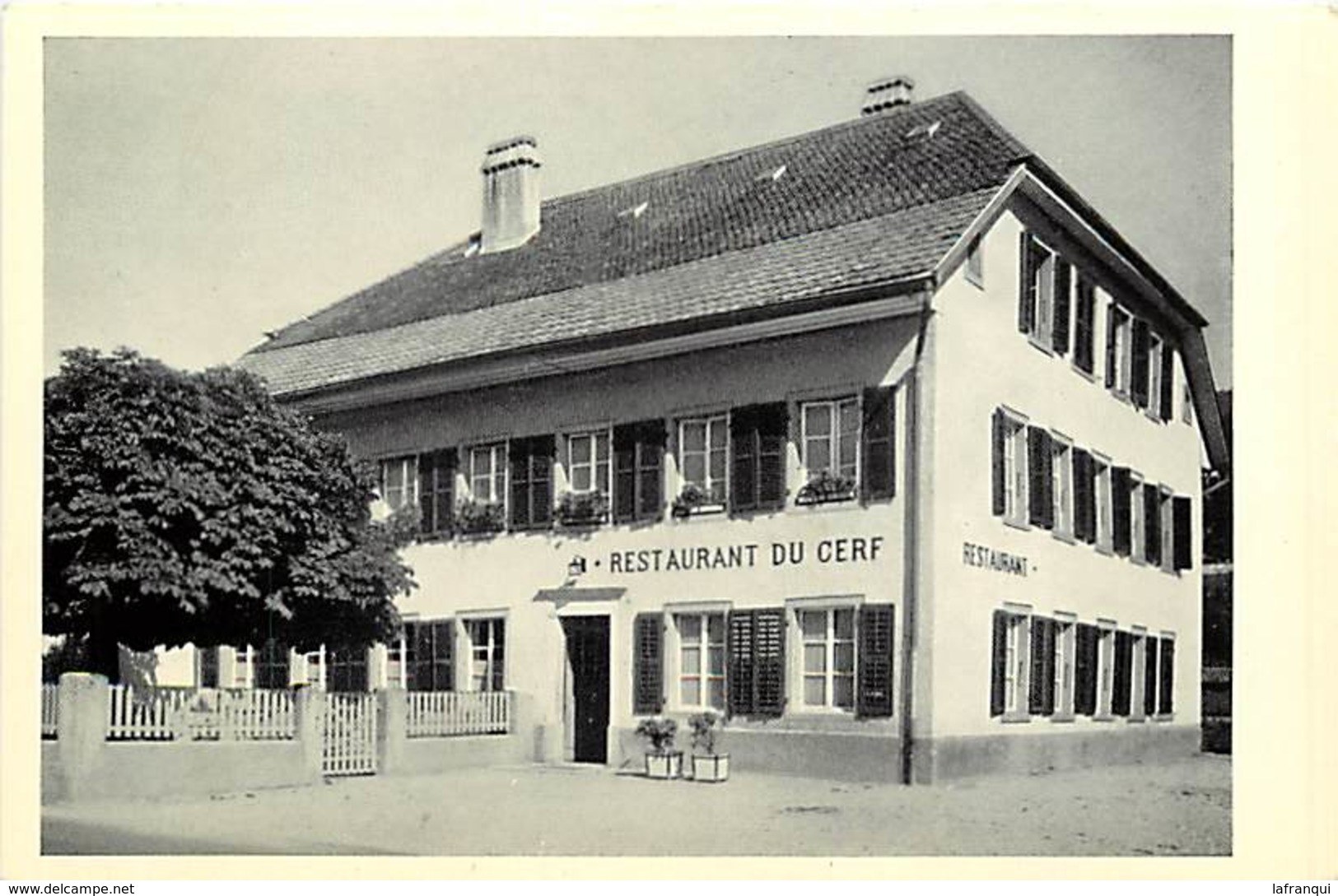 - Pays Div -ref L753- Suisse - Restaurant Du Cerf , Bevilard  - Carte Bon Etat  - - Evilard