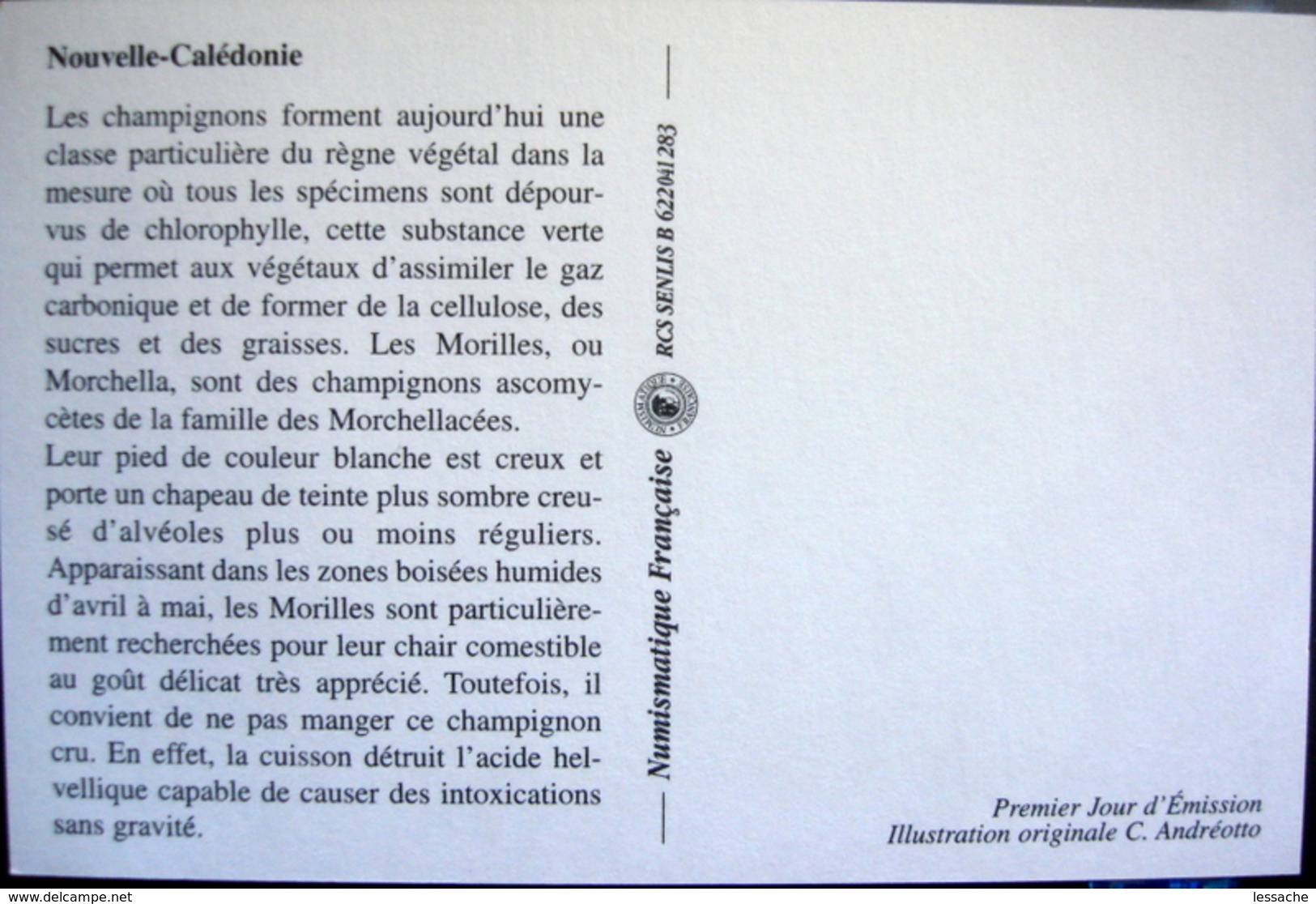 Carte Premier Jour Nouvelles Calédonies Les Champignons 1998 - Autres & Non Classés