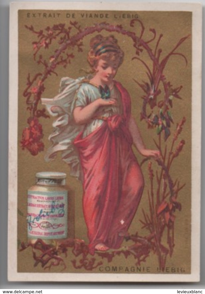 Liebig/Sanguinetti/S 94 /Femmes Avec Guirlandes De Fleurs/Papillon/ 1878 -1883  LBG59 - Liebig