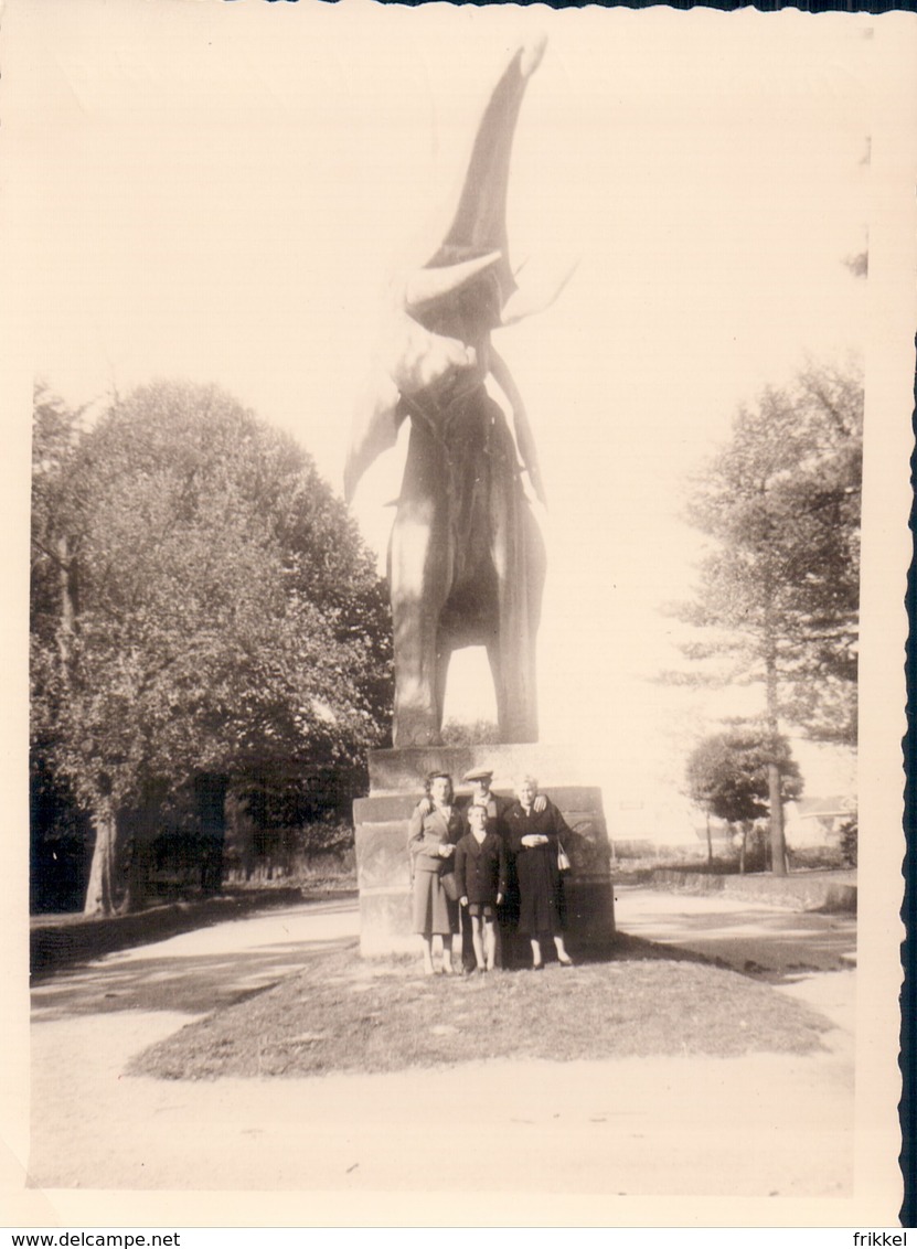 Foto Photo (8,5 X 11,5 Cm) Tervuren Kongo Congo Museum Tervueren Musée Coloniale - Tervuren