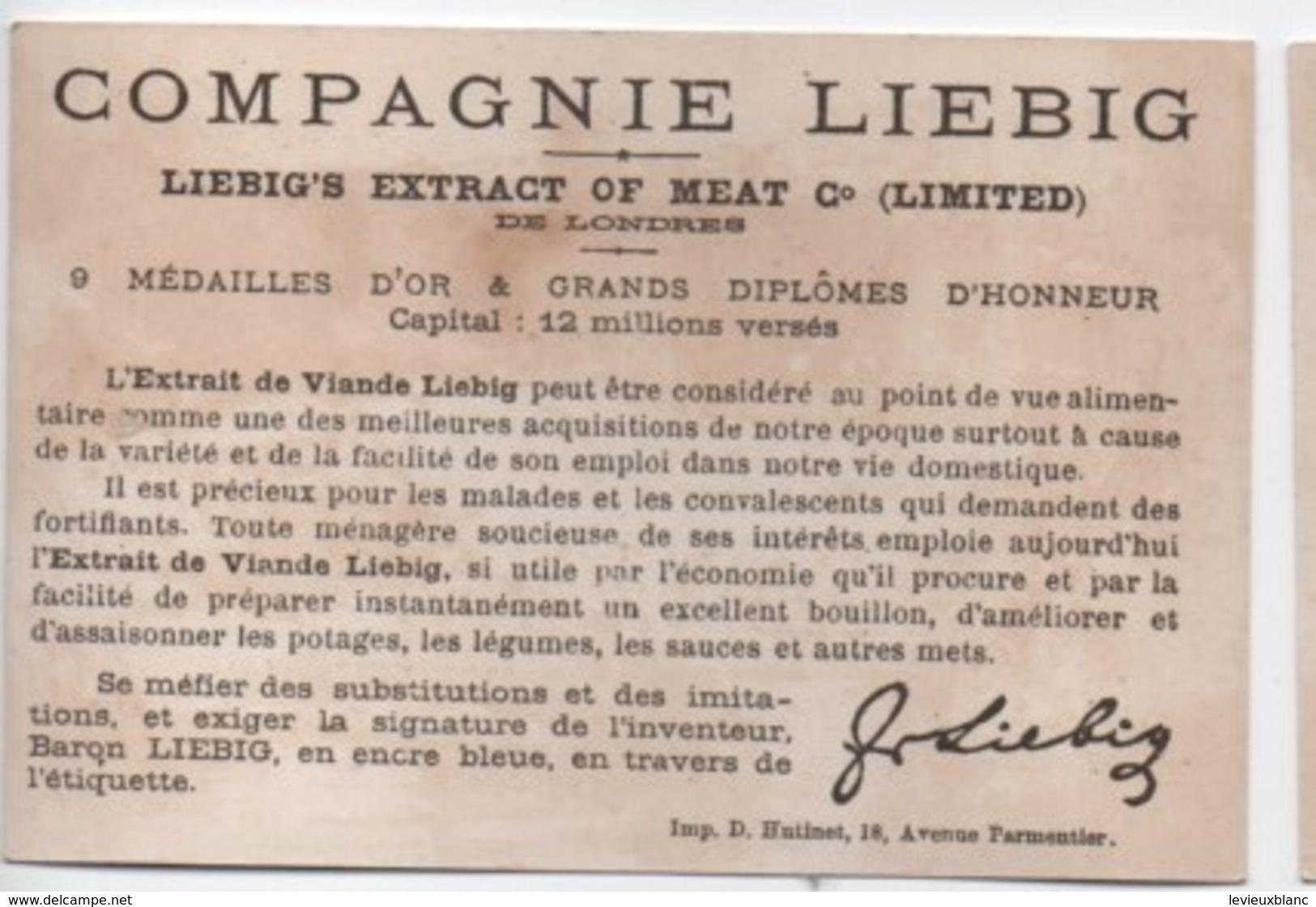 Liebig/Sanguinetti/S 101 /Oiseaux Volants/ Goéland/ 1880  LBG67 - Liebig