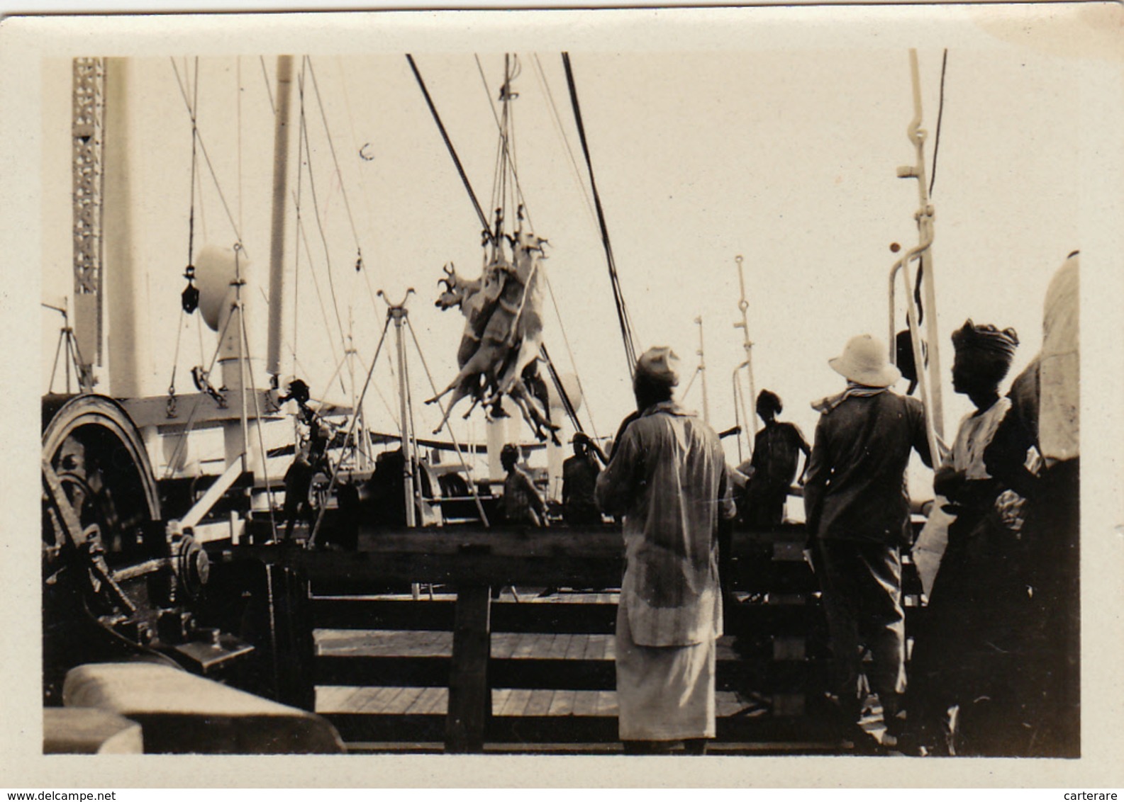 FRANCE COLONIE EN 1940,BATEAU FRANCAIS,METIER,ARRIVEE A DAKAR,SENEGAL,DEBARQUEMENT DES ANIMAUX - Bateaux