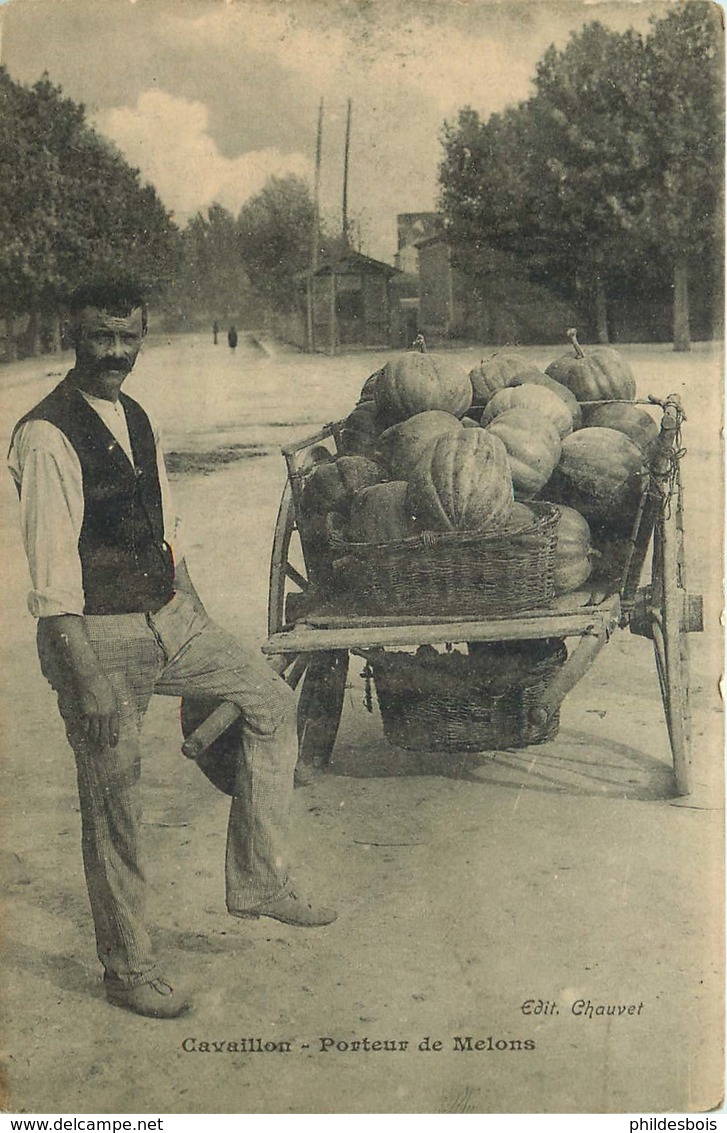 VAUCLUSE CAVAILLON  Porteur De Melons - Cavaillon