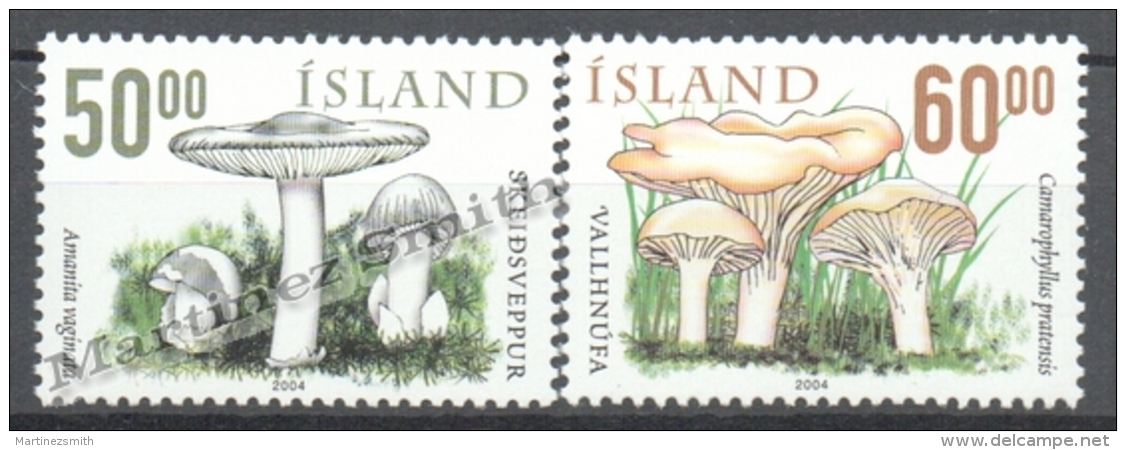 Iceland - Islande 2004 Yvert 999-1000, Mushrooms - MNH - Neufs