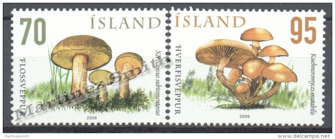 Iceland - Islande 2006 Yvert 1072-73, Mushrooms - MNH - Nuovi