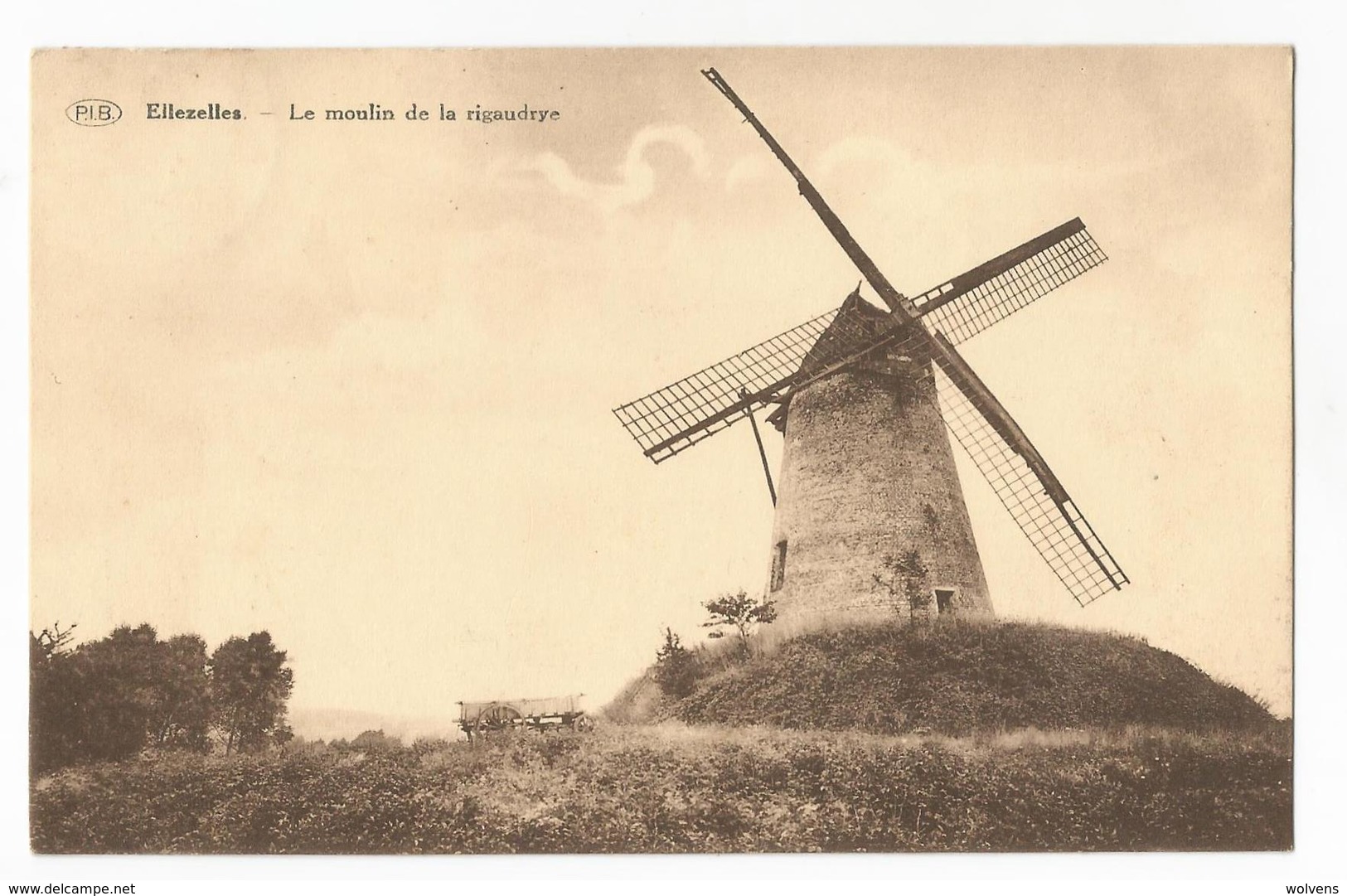 Elezelles Le Moulin à Vent De La Rigaudrye Carte Postale Ancienne - Ellezelles