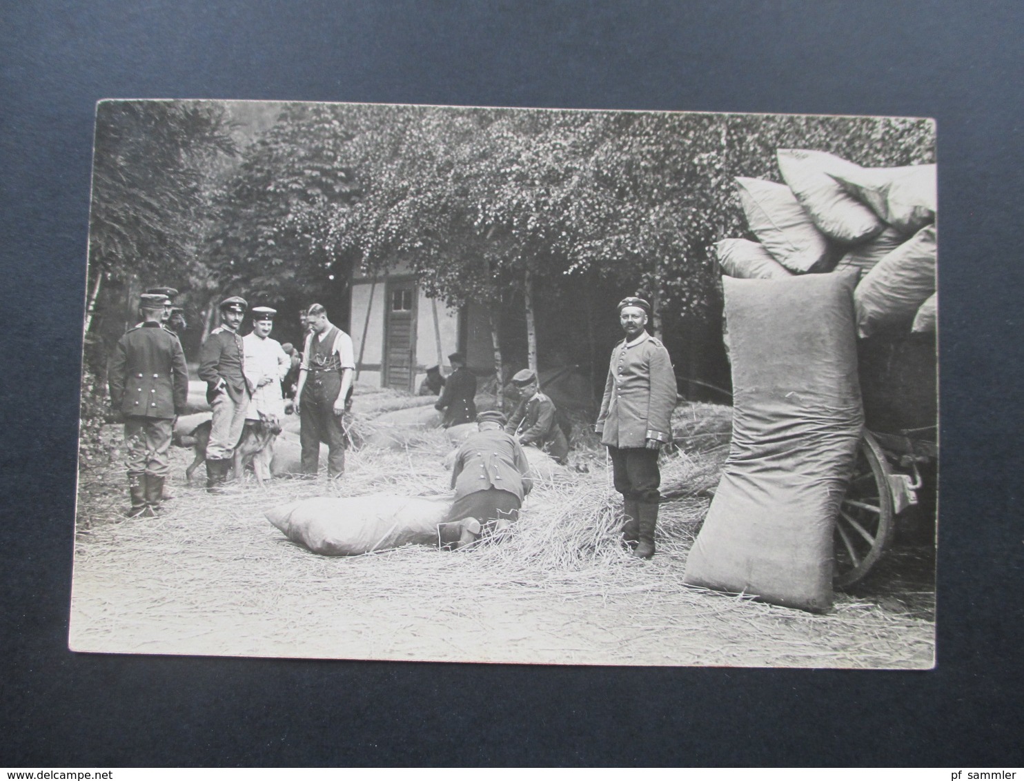 AK / Foto 1. WK Soldaten Füllen Große Strohsäcke! Soldaten Mit Schäferhund - Weltkrieg 1914-18