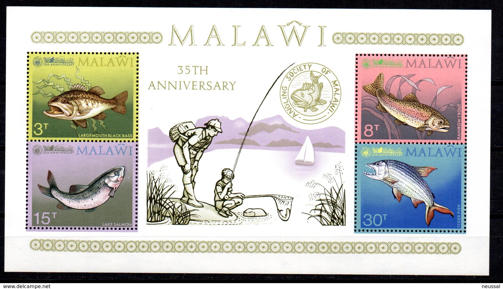 Hb-35 Malawi - Poissons