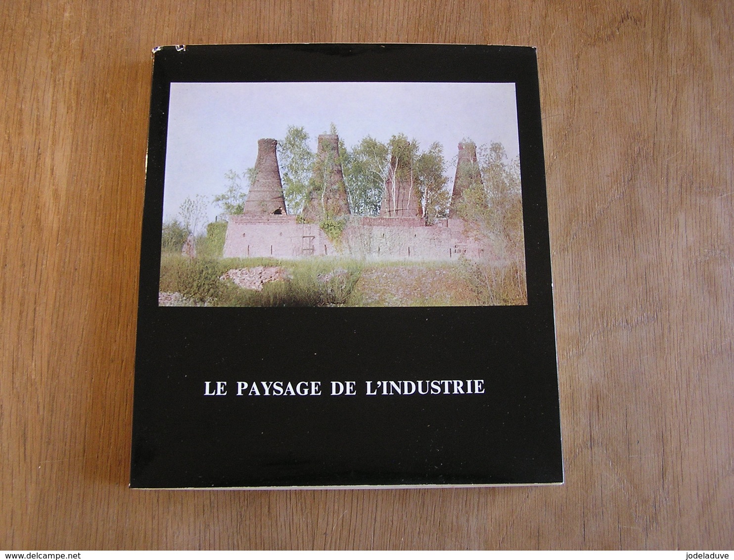LE PAYSAGE DE L' INDUSTRIE Régionalisme Architecture Industrielle Charbonnages Mines Usines Canal Mineurs Remise Cités - Belgique