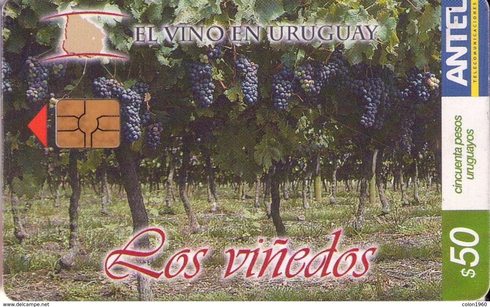 TARJETA TELEFONICA DE URUGUAY, 363a (117) EL VINO EN URUGUAY - Uruguay