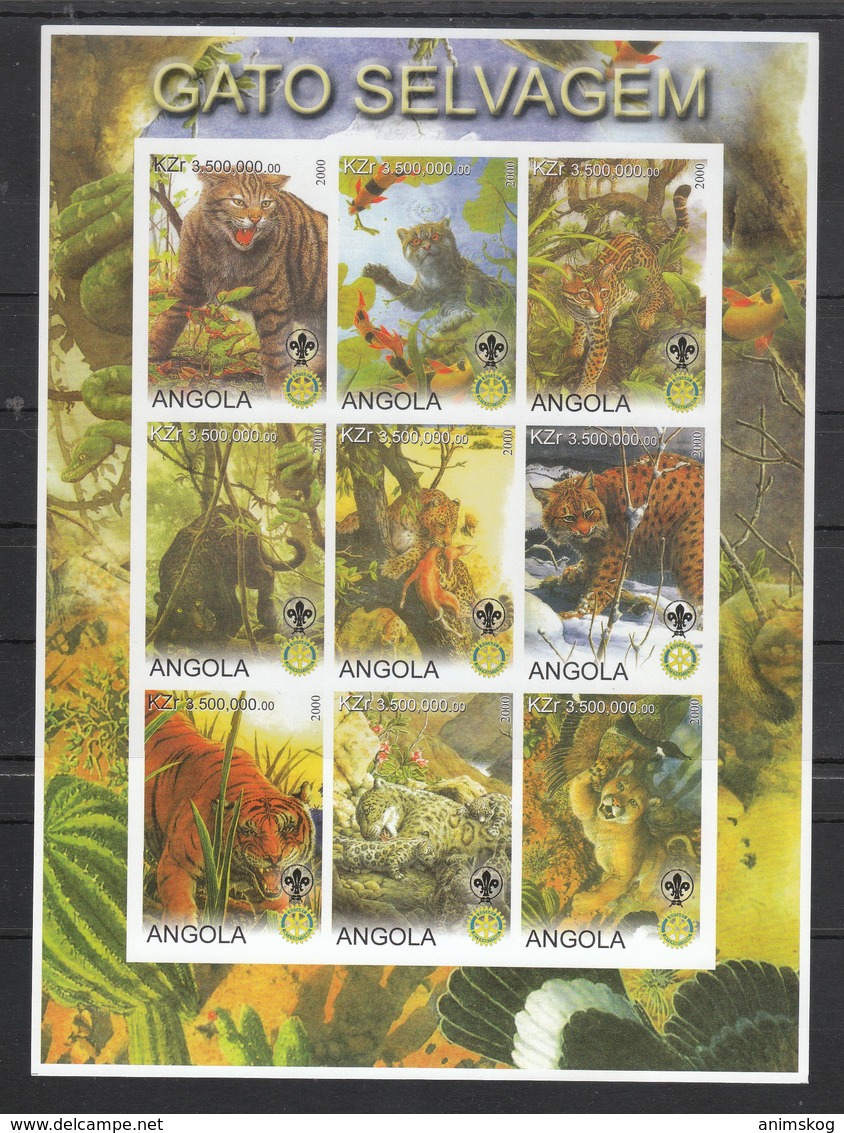 Angola 2000**, Wildkatzen, Kakteen Im KB-Rand, Vignette / Angola 2000, MNH, Wildcats, Cacti On MS Frame, Cinderella - Fantasie Vignetten