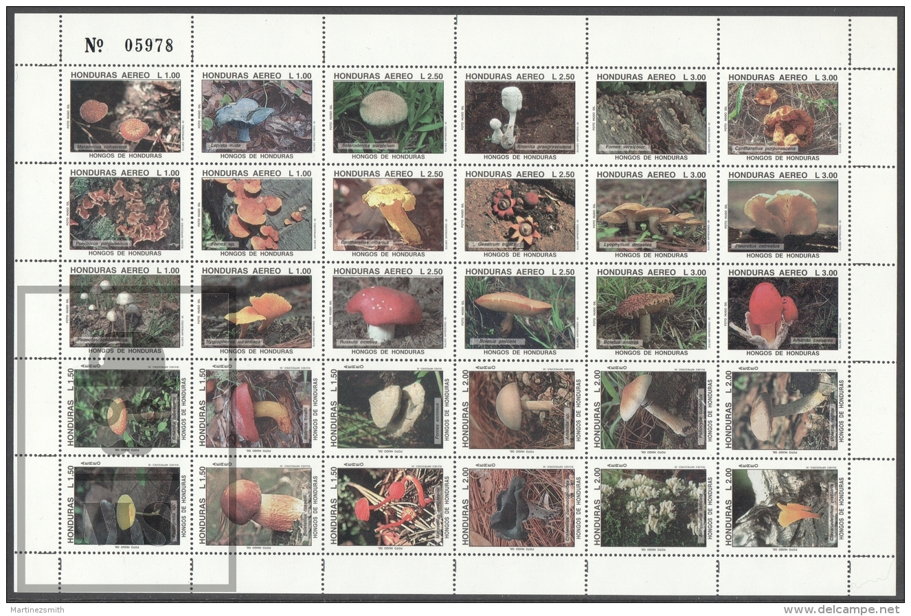 Honduras 1995, Airmail Mushrooms - Sheetlet 30 Values - MNH - Honduras