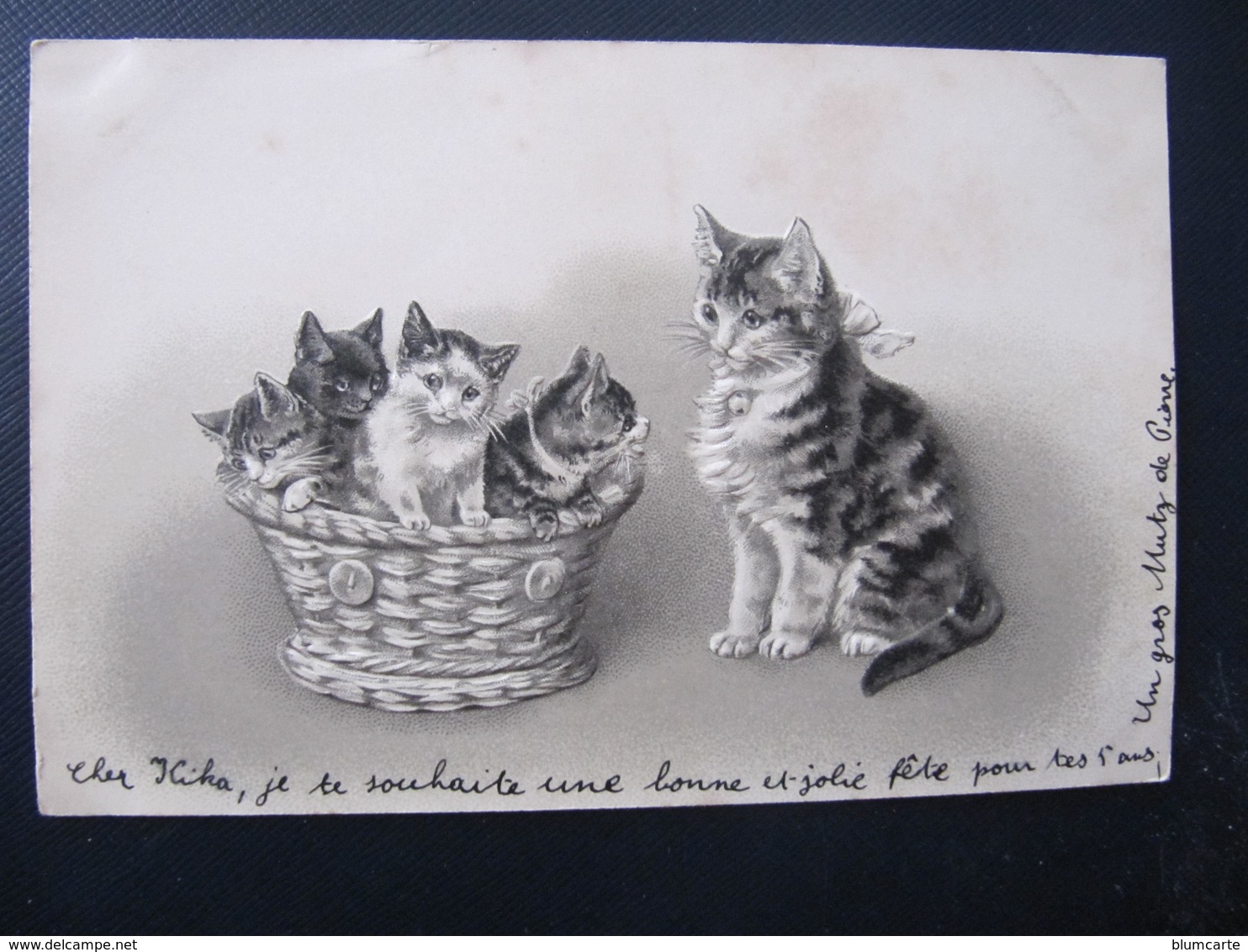 CPA - Illustrateur : ? - FAMILLE DE CHATS  DANS UN PANIER - Gaufrée - Cats