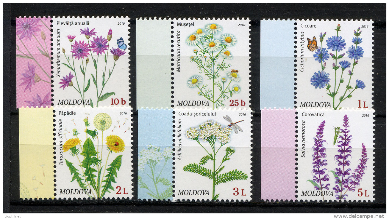 MOLDAVIE 2016, FLEURS DES CHAMPS, 6 Valeurs, Neufs / Mint. RmolFDCind - Moldova