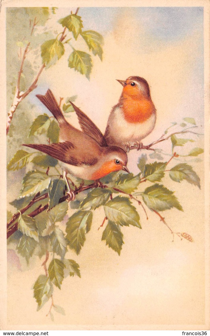 Illustration - Oiseaux Rouge Gorge - Birds