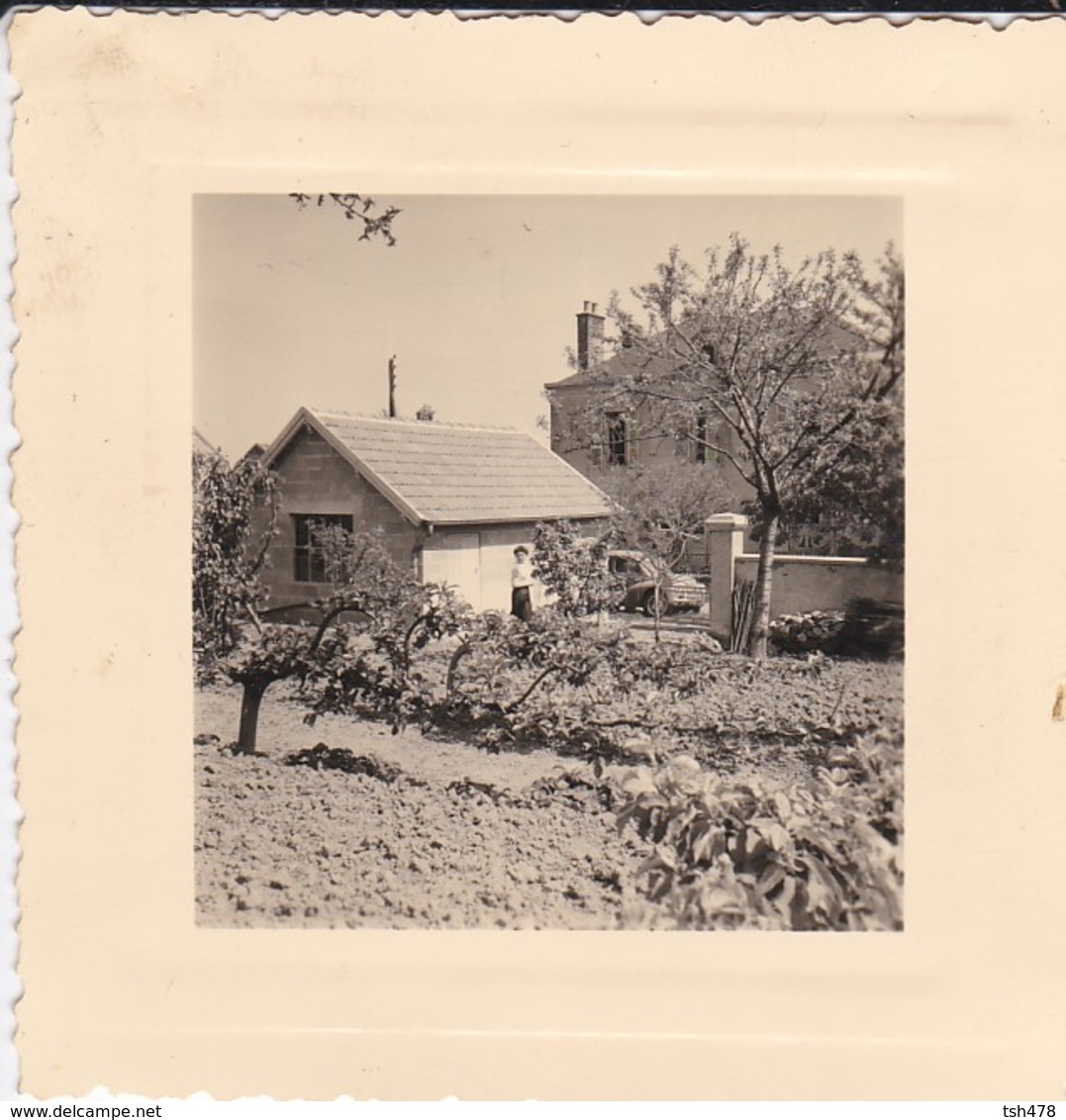 MINI PHOTO---03---BEZENET---1957--arbres Fruitiers Du Clos--garage--( Voiture 4 CV )--voir 2 Scans - Autres & Non Classés