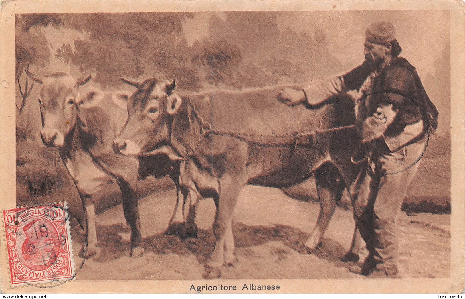 Agricoltore Albanese - Albanie - Scènes Champêtres - Paysan Campagne Agriculteur - Elevage