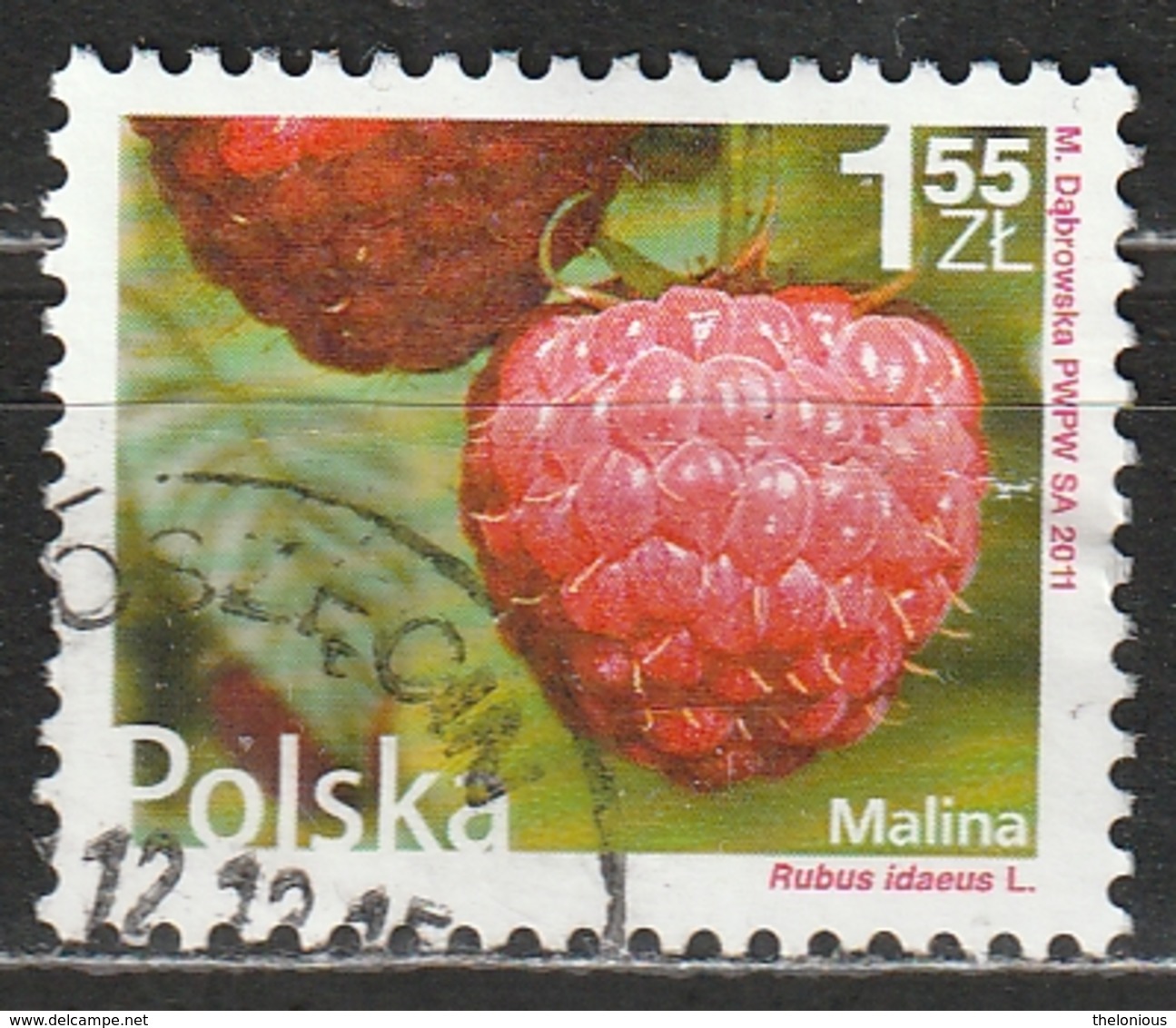 # Polonia 2011 - Raspberry - Rubus Idaeus - Cibo | Frutta | Piante (Flora) - Usados