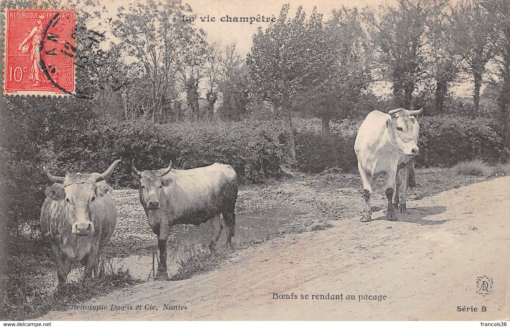 La Vie Champêtre - Boeufs Se Rendant Au Pacage - Scènes Champêtres - Elevage