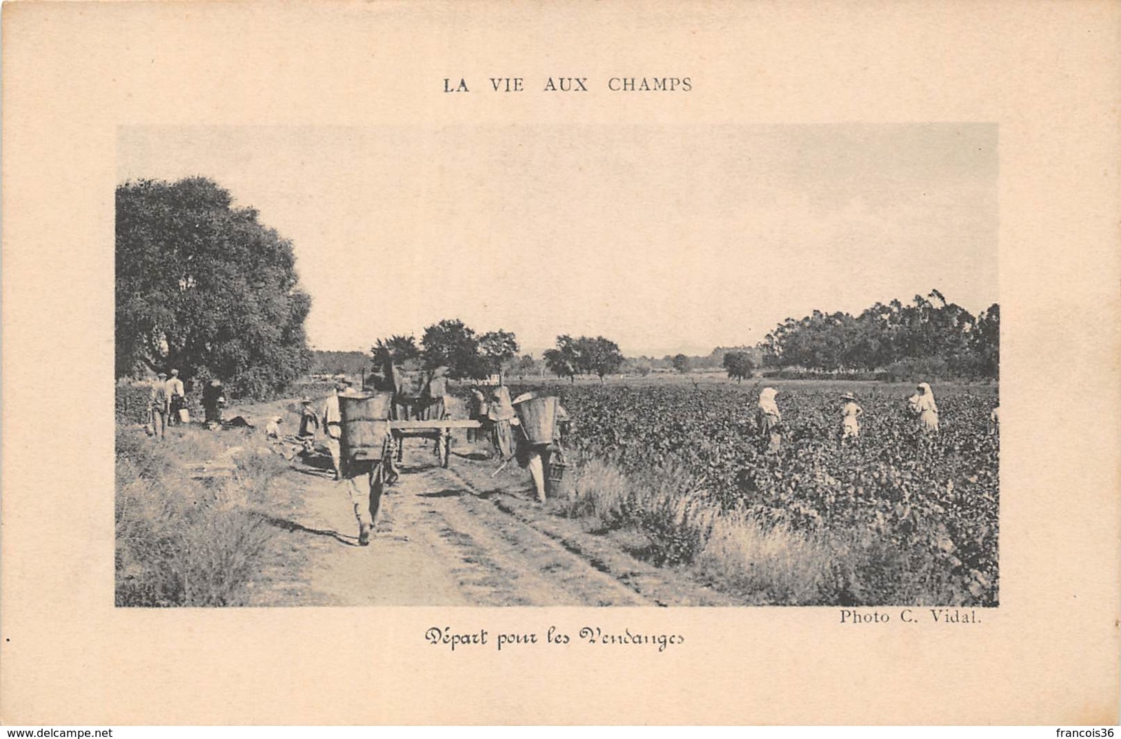 La Vie Aux Champs - Départ Pour Les Vendanges - Scènes Champêtres - Photo Par Vidal - Cultures