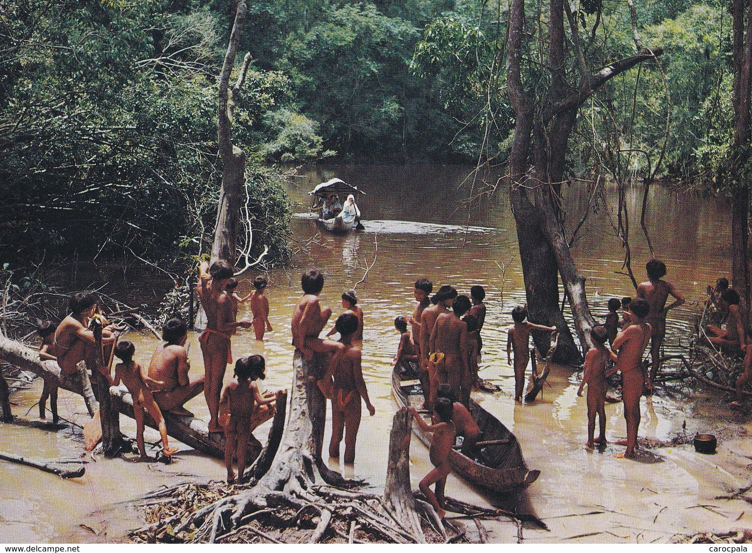 Carte 1970 VENEZUELA / TRIBU GUAICA EN UN CANO DEL ALTO ORINOCO - Venezuela