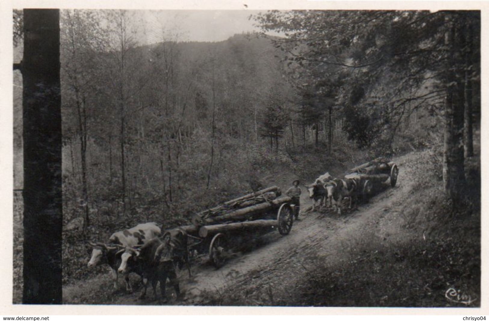 84Vn    88 Celles Sur Plaine Transport Du Bois En Voitures à Boeufs - Andere & Zonder Classificatie