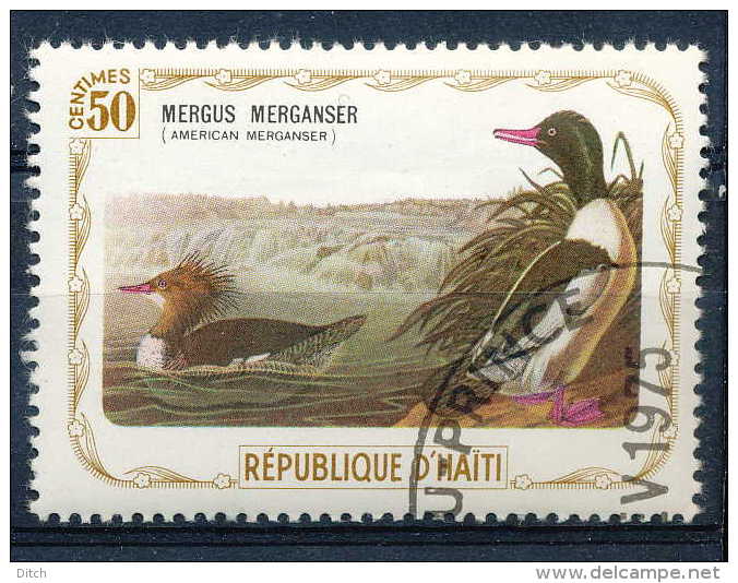 D- [ENV-541] O/used-oiseau, Vogel, Bird, Uccello, Pajaro, Animal - Canards