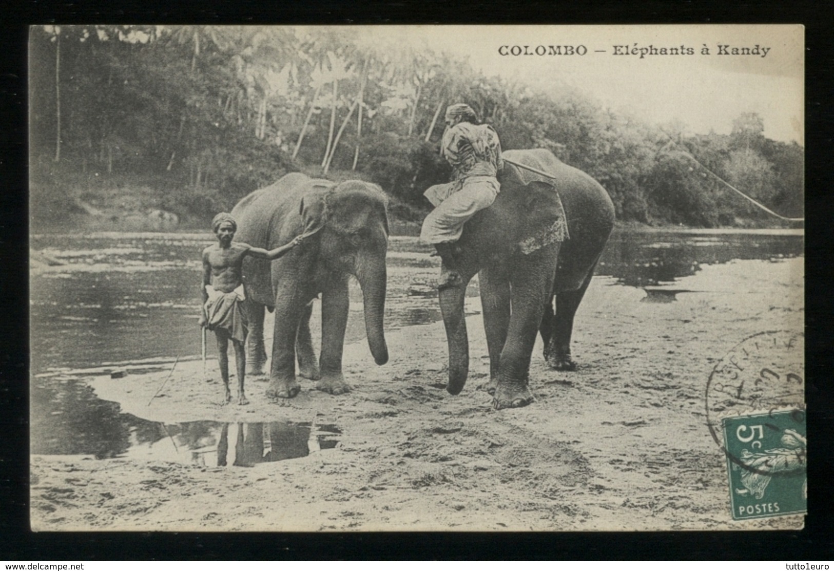 SRI LANKA - CEYLON - 1908 - ELEPHANTS A KANDY - Sri Lanka (Ceylon)