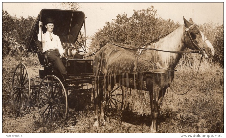 USA Nebraska? August Hartkopf Et Son Cheval Ancienne Carte Photo 1910 - Autres & Non Classés