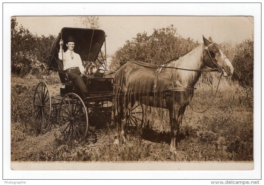 USA Nebraska? August Hartkopf Et Son Cheval Ancienne Carte Photo 1910 - Autres & Non Classés