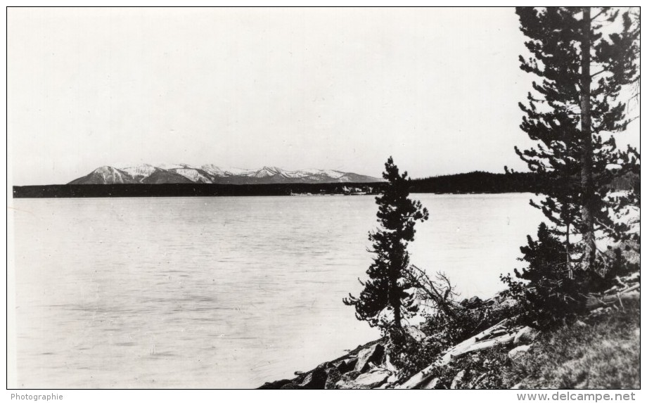 USA Wyoming Yellowstone Lake Mont Sheridan Ancienne Carte Photo Haynes 1940 ? - Yellowstone