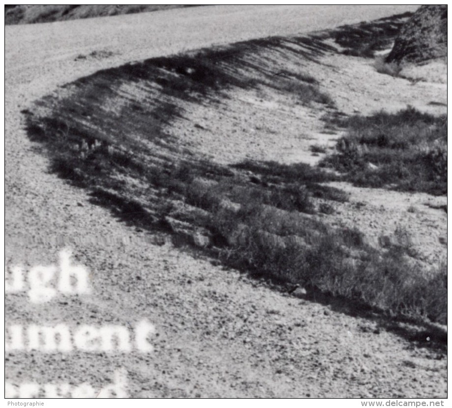 South Dakota Badlands National Park Highway 40 Carte Photo Canedy's Camera Shop 1940 - Other & Unclassified