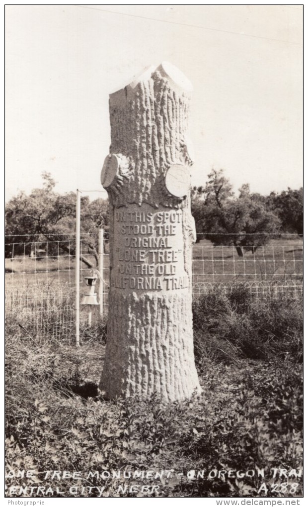 Nebraska Central City Lone Tree Monument Oregon Trail Ancienne Carte Photo 1940 - Autres & Non Classés