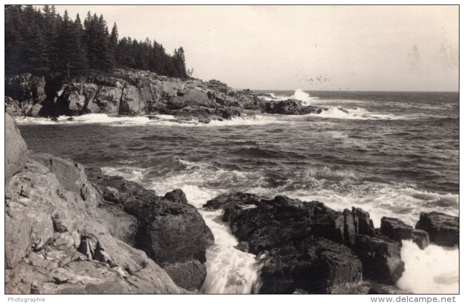 Acadia National Park Mount Desert Island Little Hunters Beach Ancienne Carte Photo 1949 - Autres & Non Classés