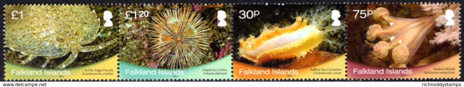 Falkland Islands 2013 Shallow Marine Survey Group Without White Frame Unmounted Mint. - Falkland