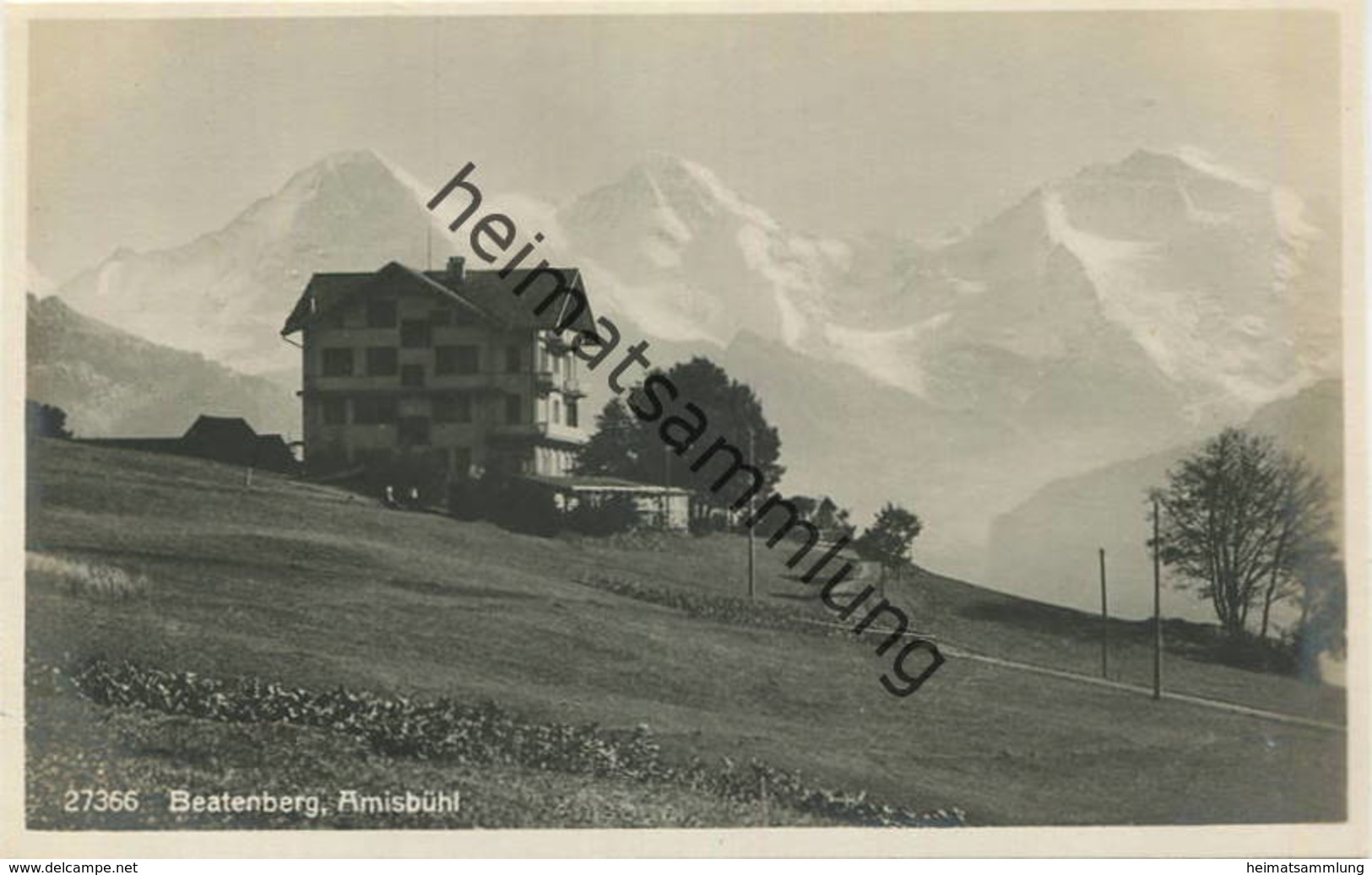 Beatenberg - Amisbühl - Foto-AK - Verlag Wehrli AG Kirchberg Zürich - Kirchberg