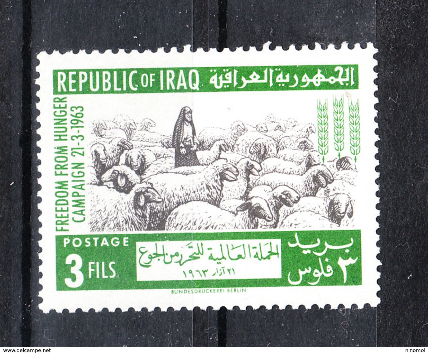 Iraq  -  1963. Allevamento Pecore E Montoni. Sheep And Rams Breeding. MNH - Altri & Non Classificati