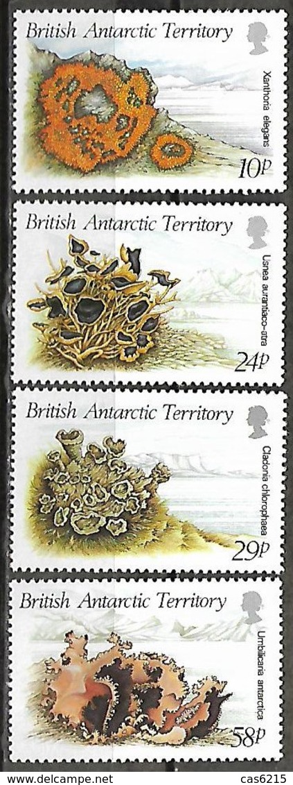 British Antarctic Territory 1989 Flora Mousses Et Lichens Mosses And Lichens, 4 Val Mnh - Neufs