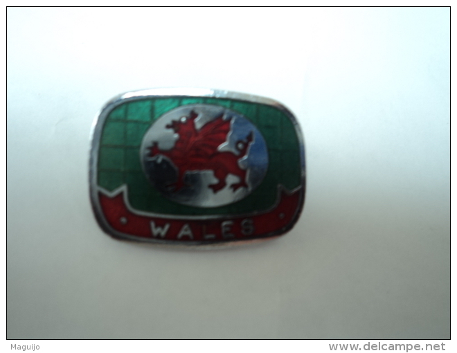 PIN'S  /BROCHE " WALES " BLASON PAYS DE GALLES      VOIR ET LIRE - Autres & Non Classés