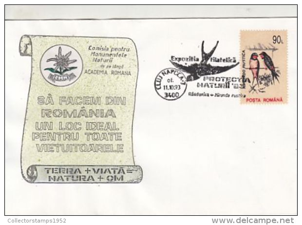 D4073- BARN SWALLOW, BIRDS, SPECIAL COVER, 1993, ROMANIA - Hirondelles