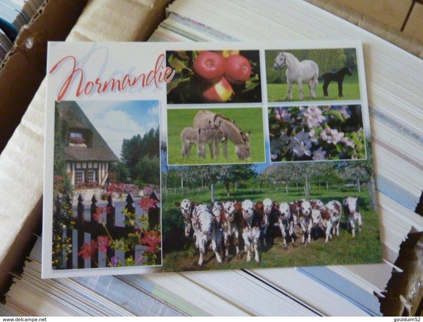 Lot de 1640 cartes postales modernes neuves sur la normandie