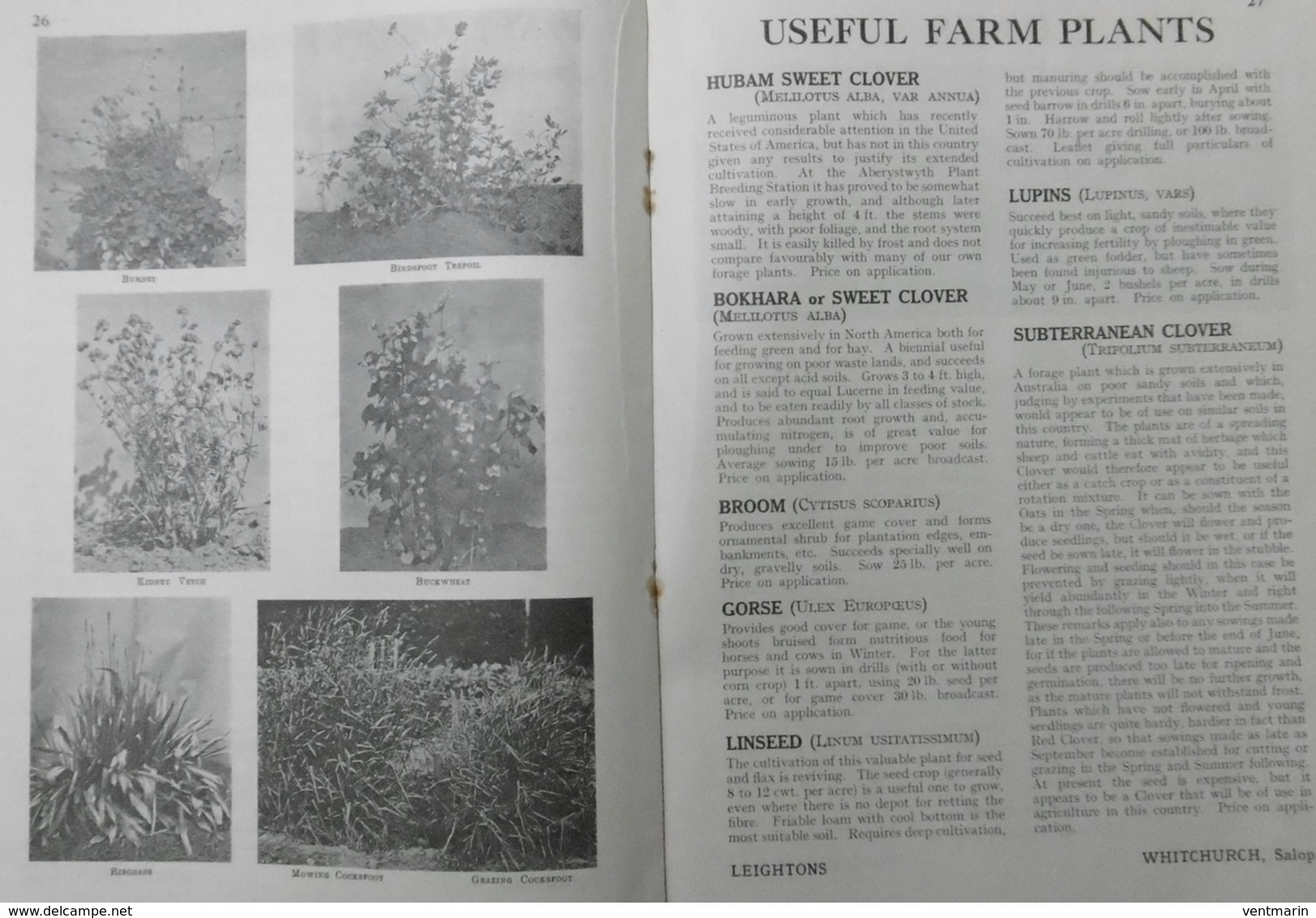 Catalogue 1928 Seeds For The Farm Leighton LTD - Agriculture