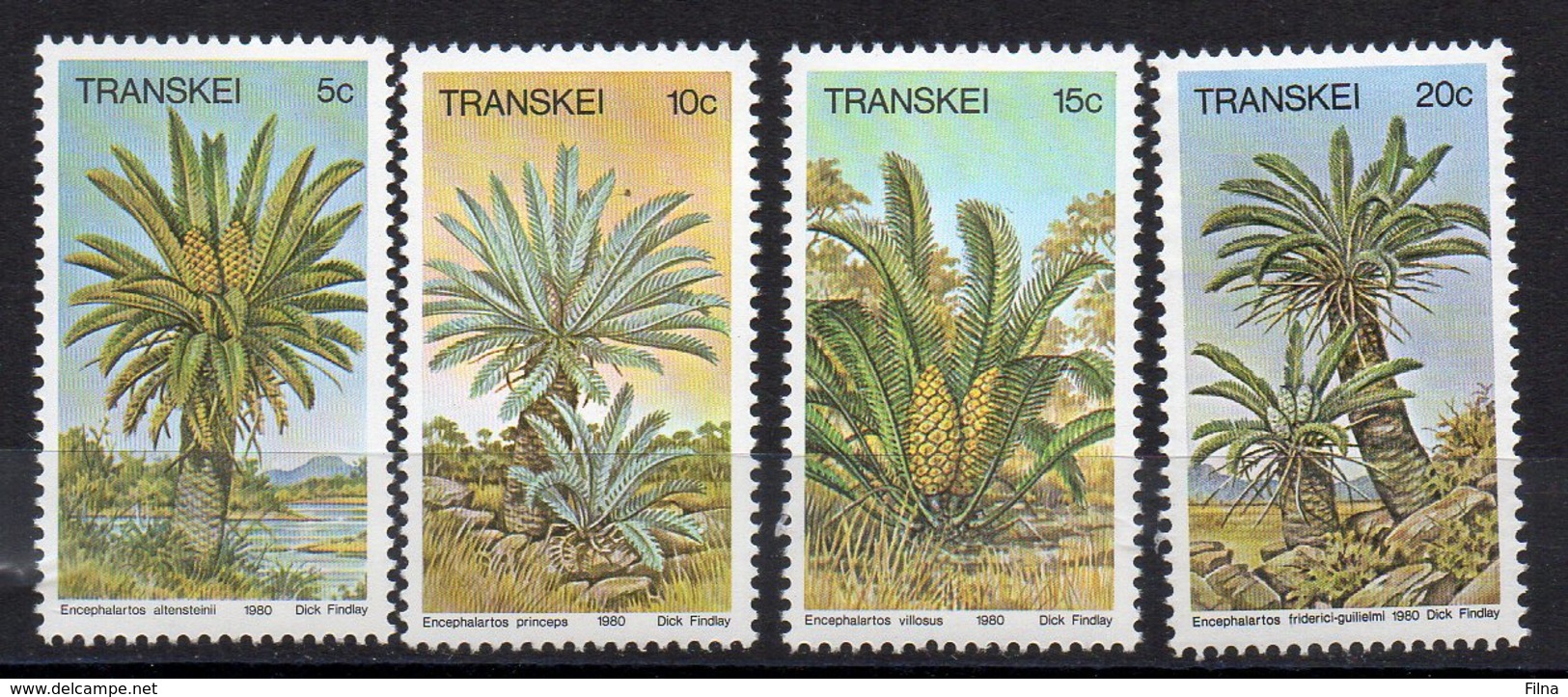 TRANSKEI 1980 - FLORA - PIANTE - SERIE COMPLETA  - MNH** - Transkei